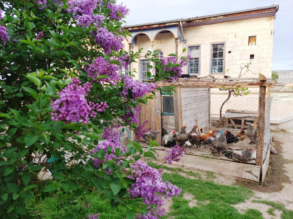 Armesos Cave Hotel Ürgüp Buitenkant foto